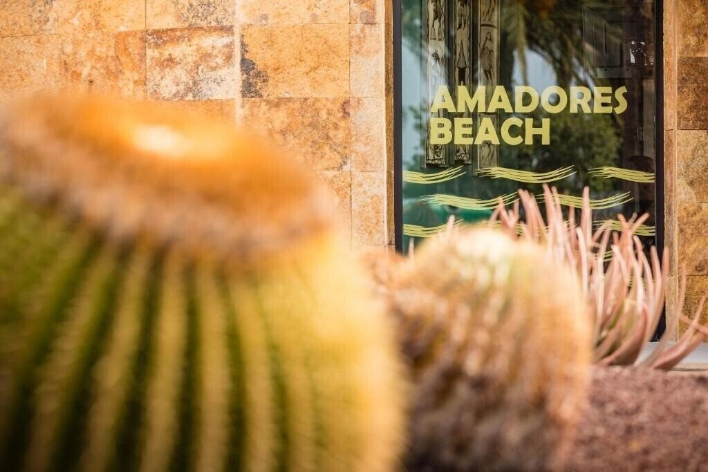 Фотографія Apartamentos Amadores Beach 3*