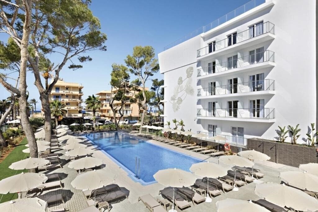 Отель Riu Concordia 4*