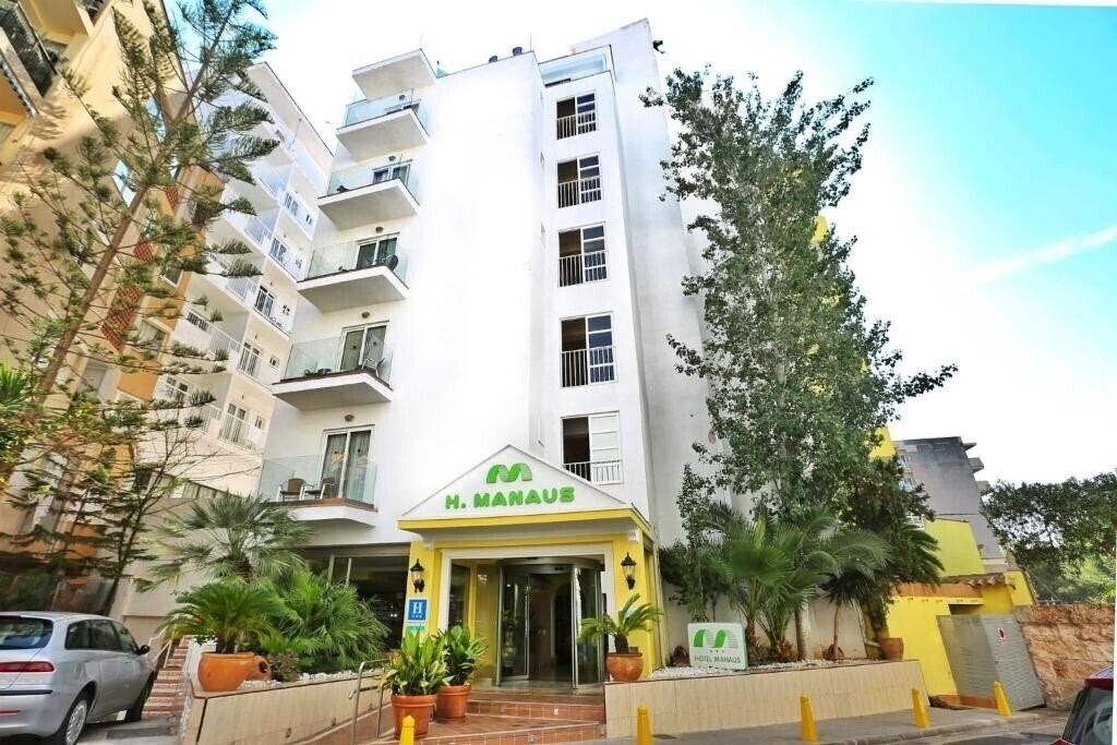 Картинка Manaus 3*