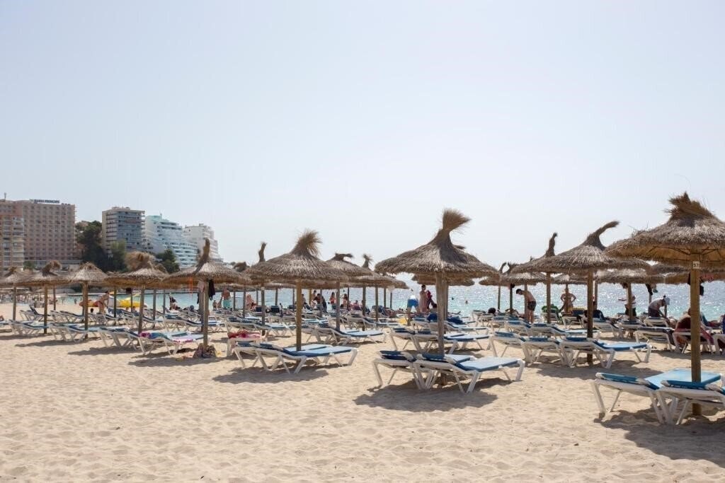 Фотография Magalluf Playa (Adults Only) 2 Keys 2*