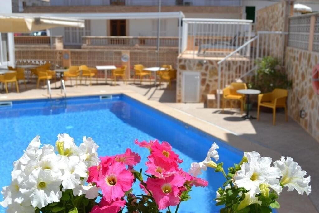 Фото Hotel Vista Sol 3*