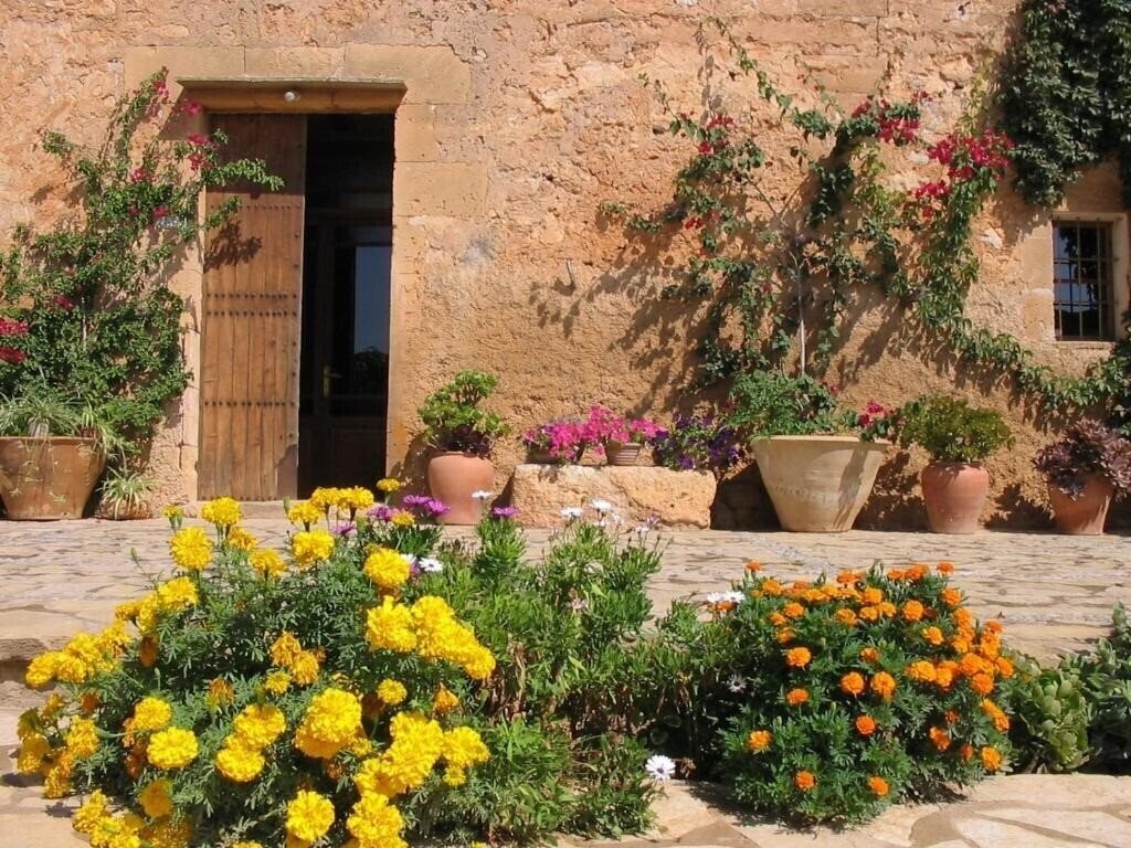 Отель Finca Sa Cova Vella 3*