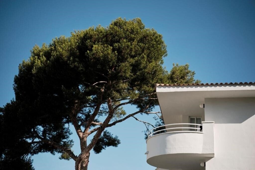 Фотография Prinsotel La Pineda 4*