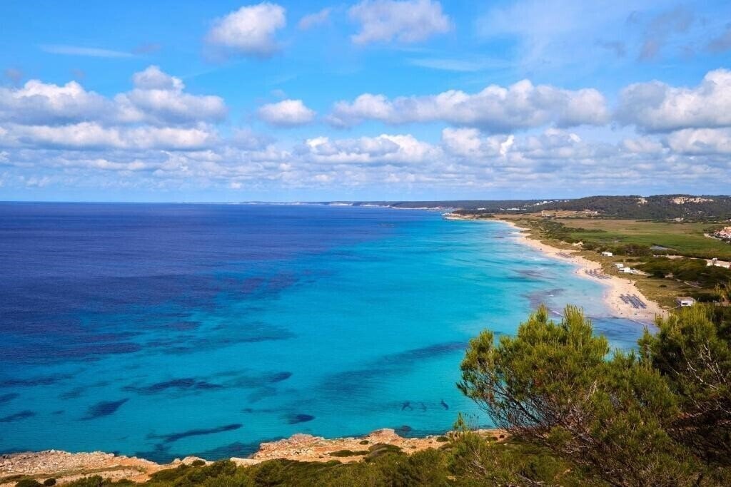 Картинка Sol Milanos Pinguinos 3*