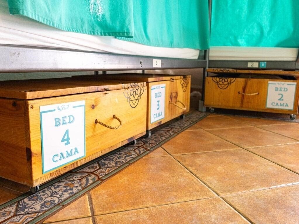 Изображение Arena Nest Hostel 2*