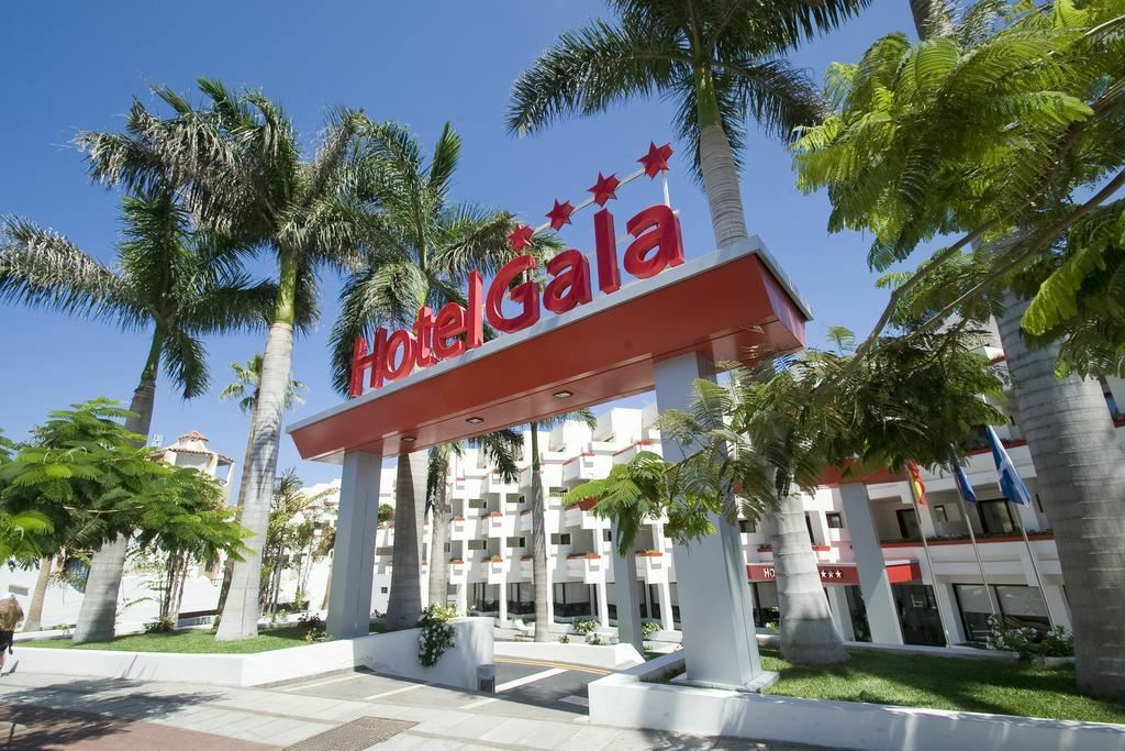 Фото Gala 4*