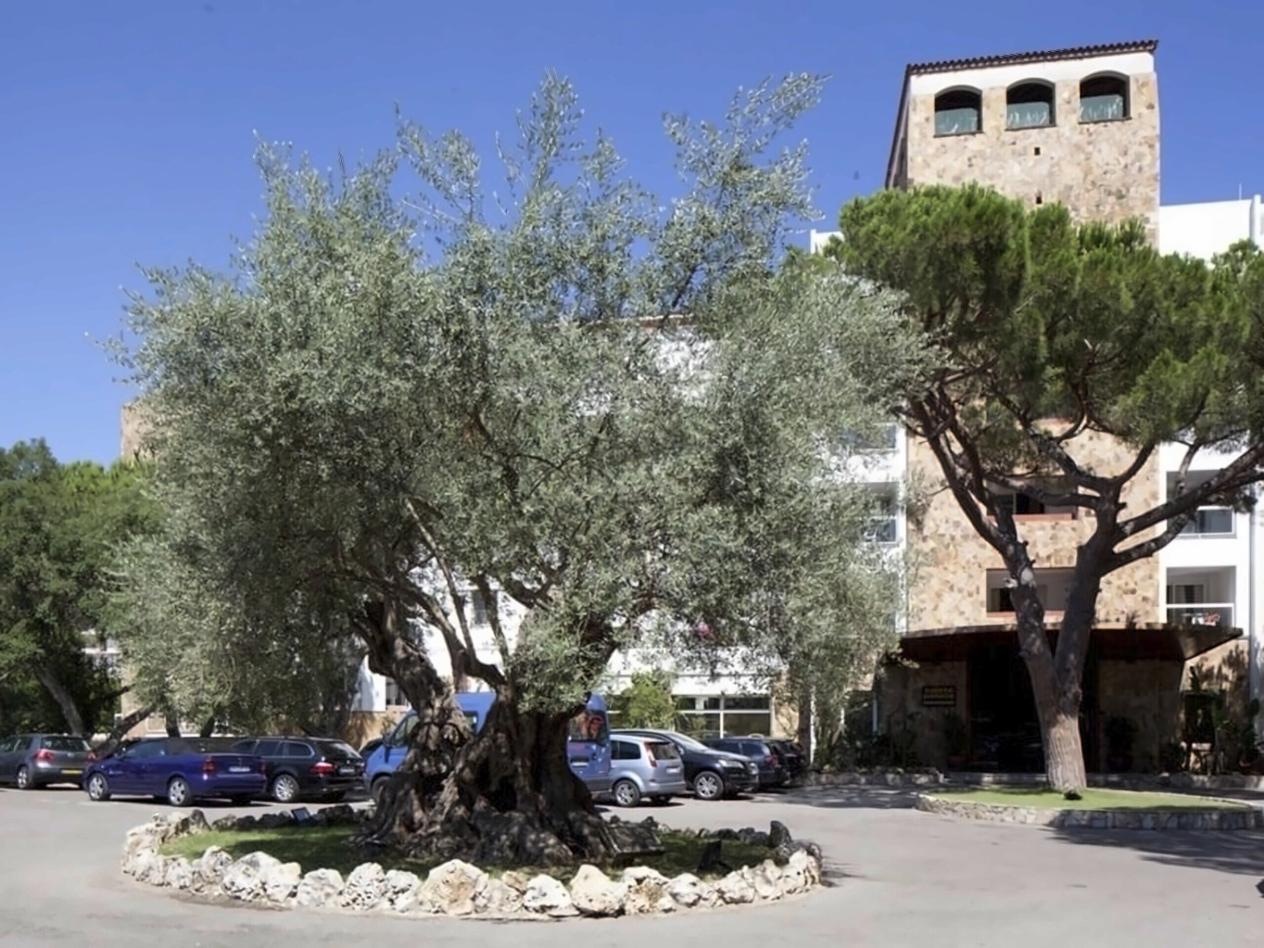 Фото H.Top Caleta Palace 4*