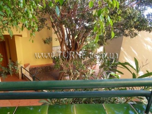 Зображення Oasis Mango 3*