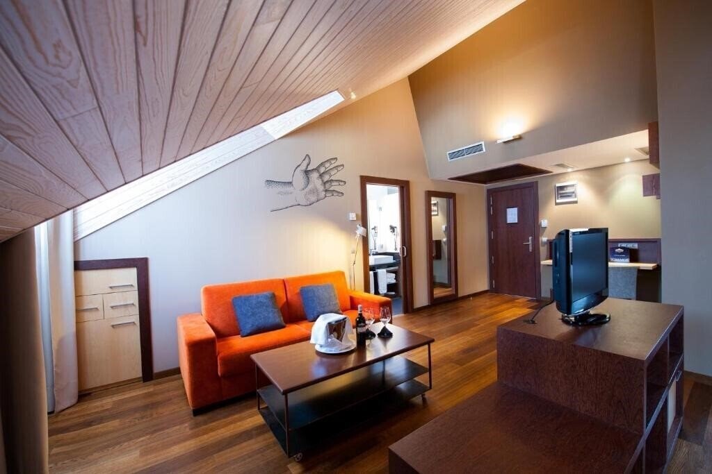 Фото Sommos Hotel Aneto 4*