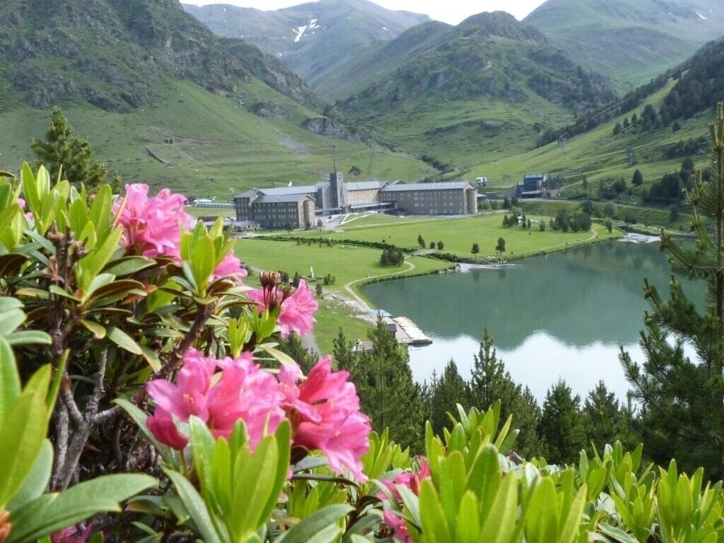 Отель Apartaments Vall De Nuria 3*
