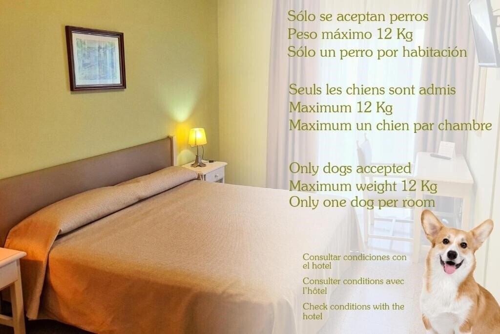 Фото Castell Blanc 3*
