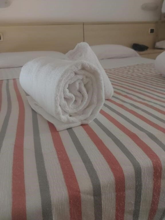 Картинка Hotel Holiday 2*