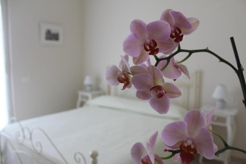 Фото B&B Il Giglio Bianco 4*