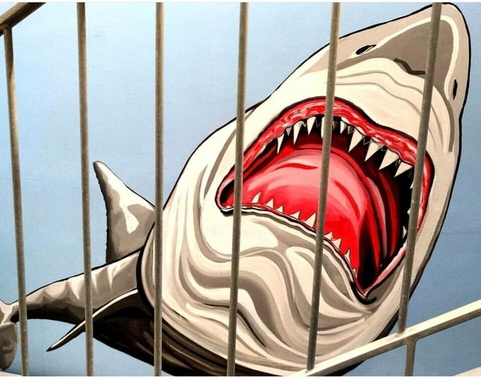 Картинка L'angolo di Beppe (Torre Lapillo) 3*