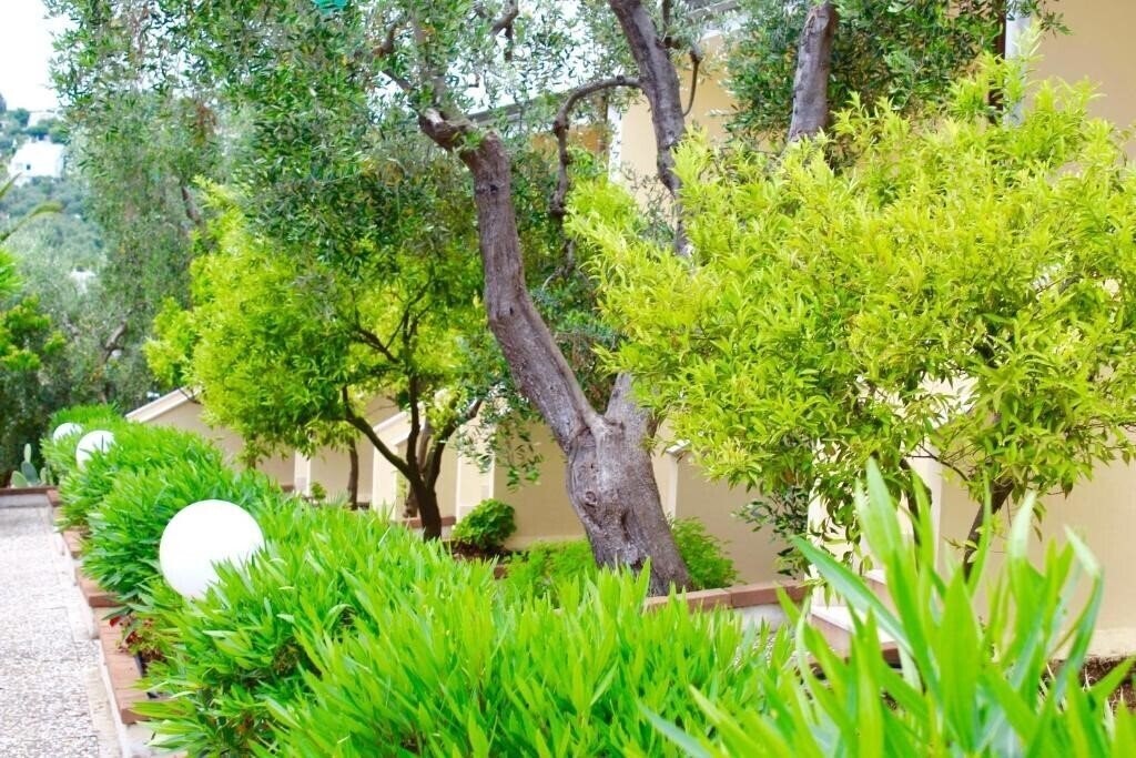 Картинка Villaggio Turistico Defensola (Vieste) 3*