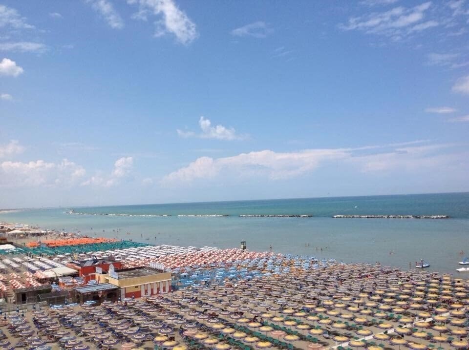 Картинка David Hotel (Cesenatico) 3*