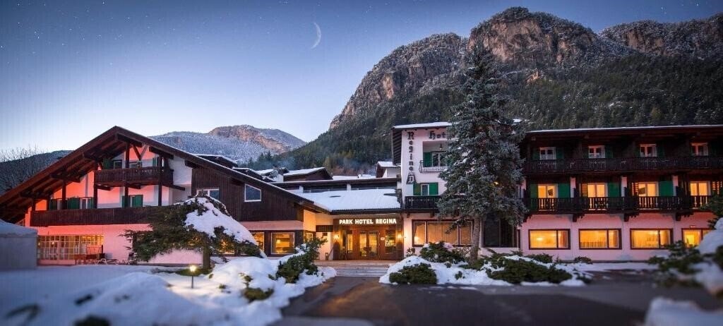 Готель Regina Delle Dolomiti 3*