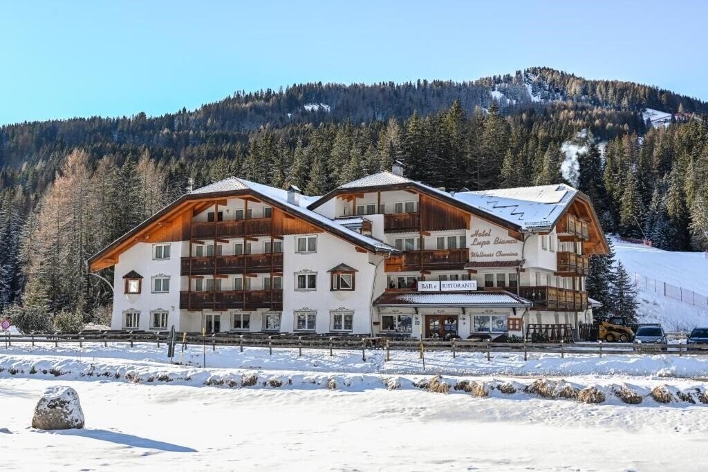 Изображение Hotel Lupo Bianco Wellness & Walking 4*