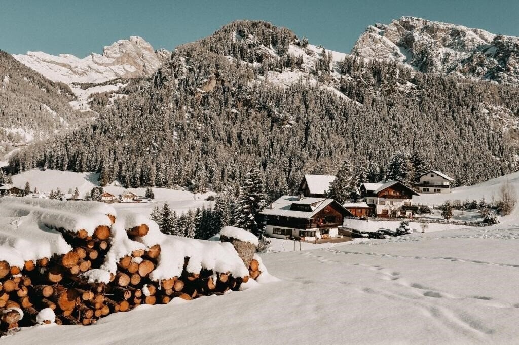 Фотографія Mountain Chalet Pra Ronch 4*