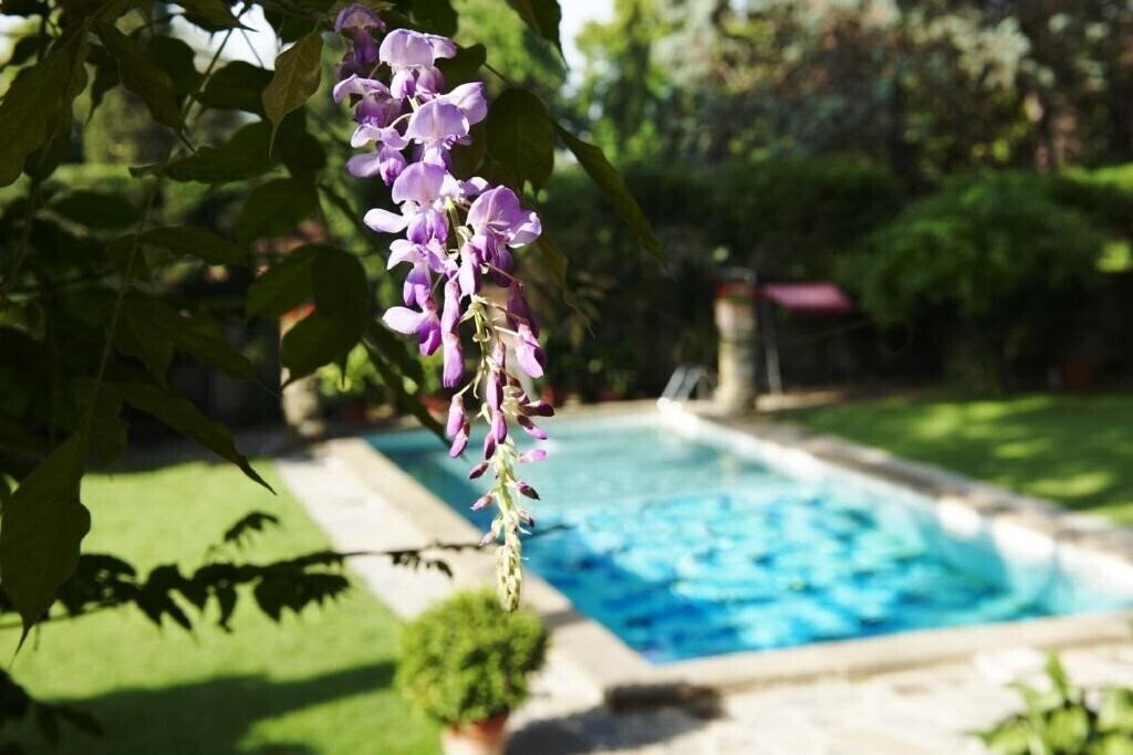 Готель Park Palace Hotel 4*