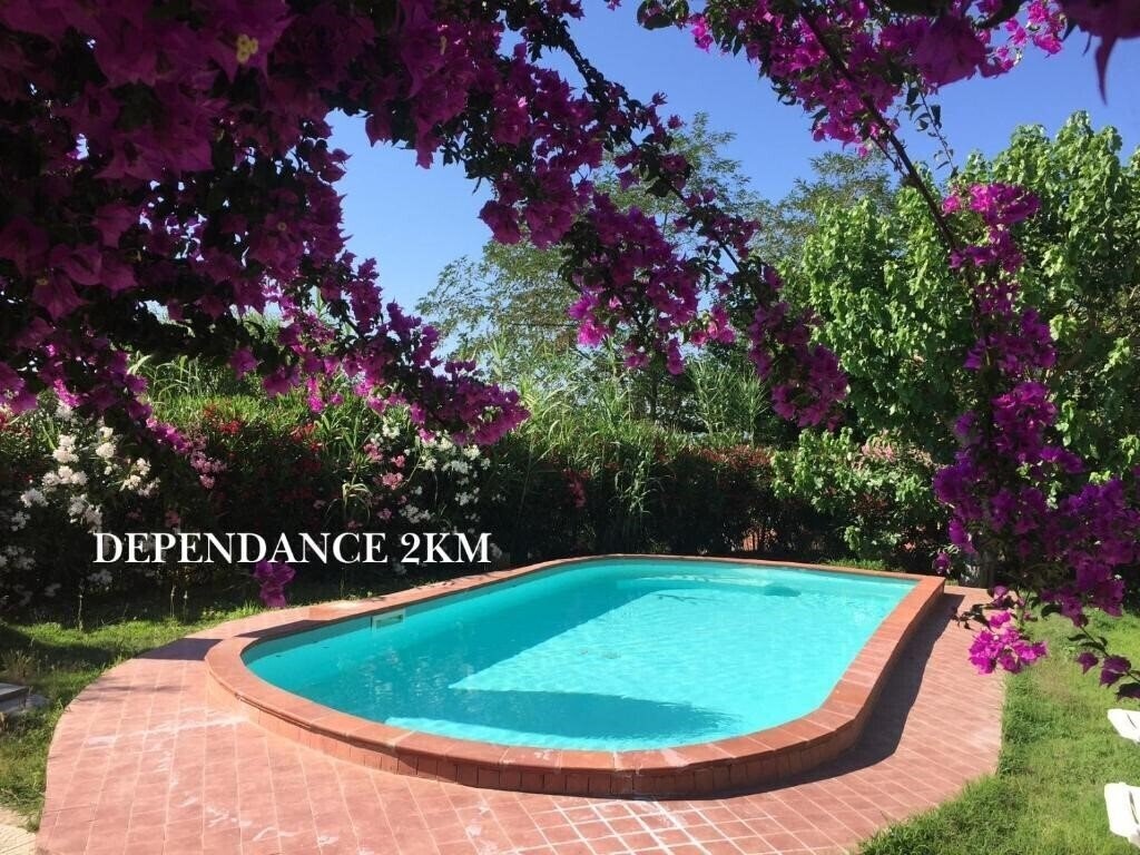 Изображение Marco Polo 3*