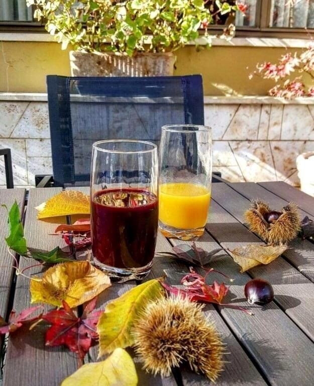 Изображение Delle Ortensie Fiuggi 3*