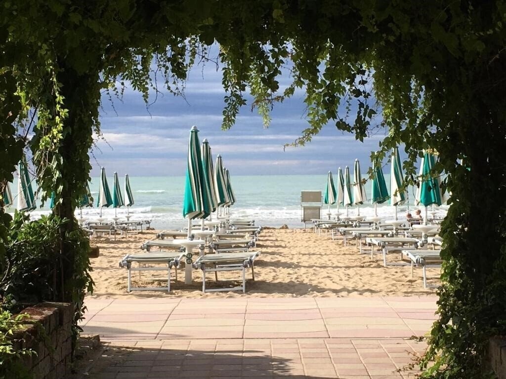 Отель Vina Del Mar 4*