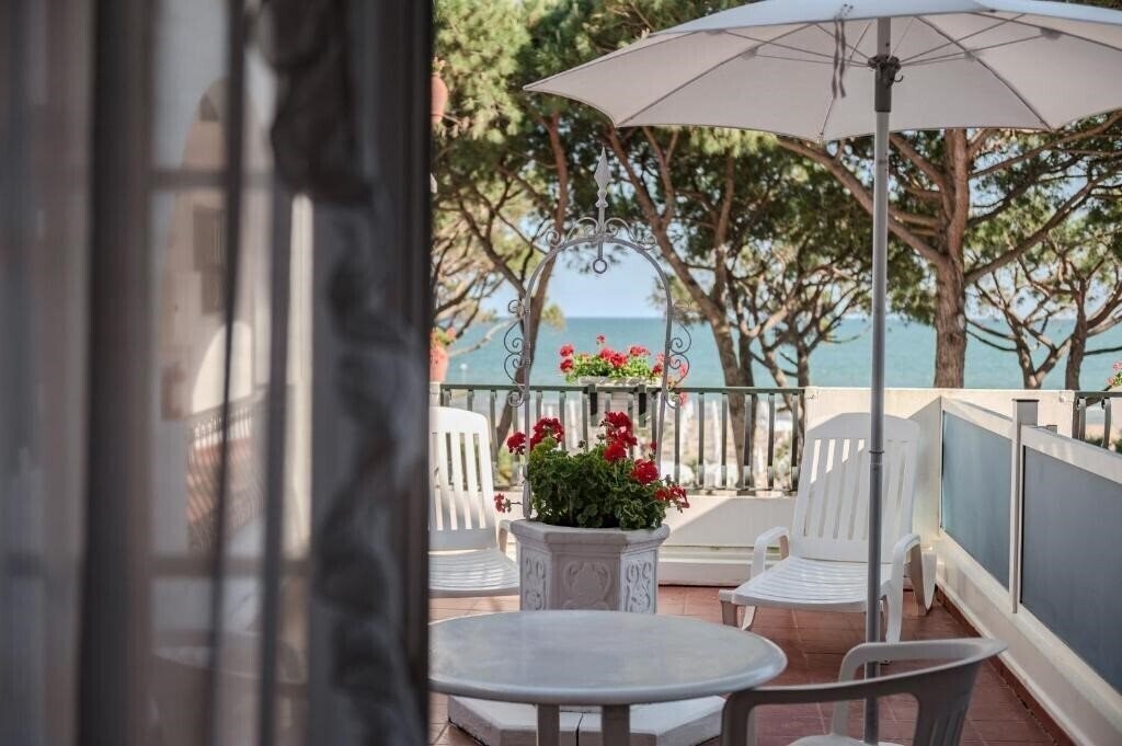Отель Agora Park Hotel 3*