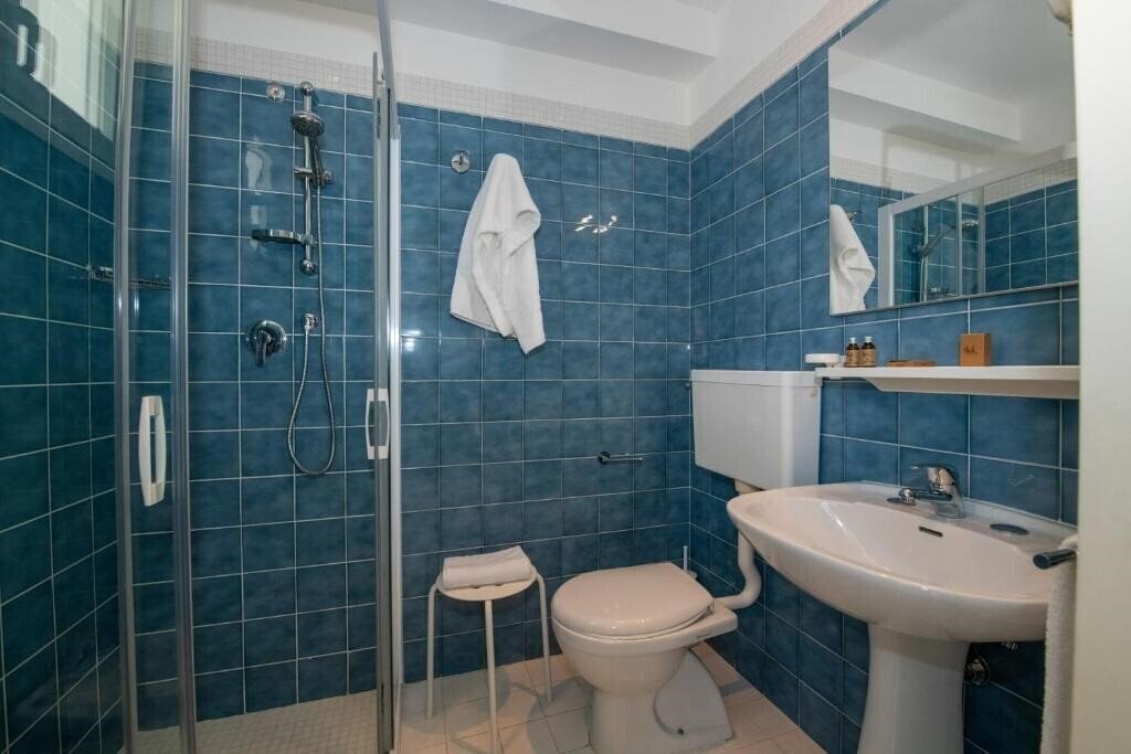 Фотография Hotel Delle Mimose 3*