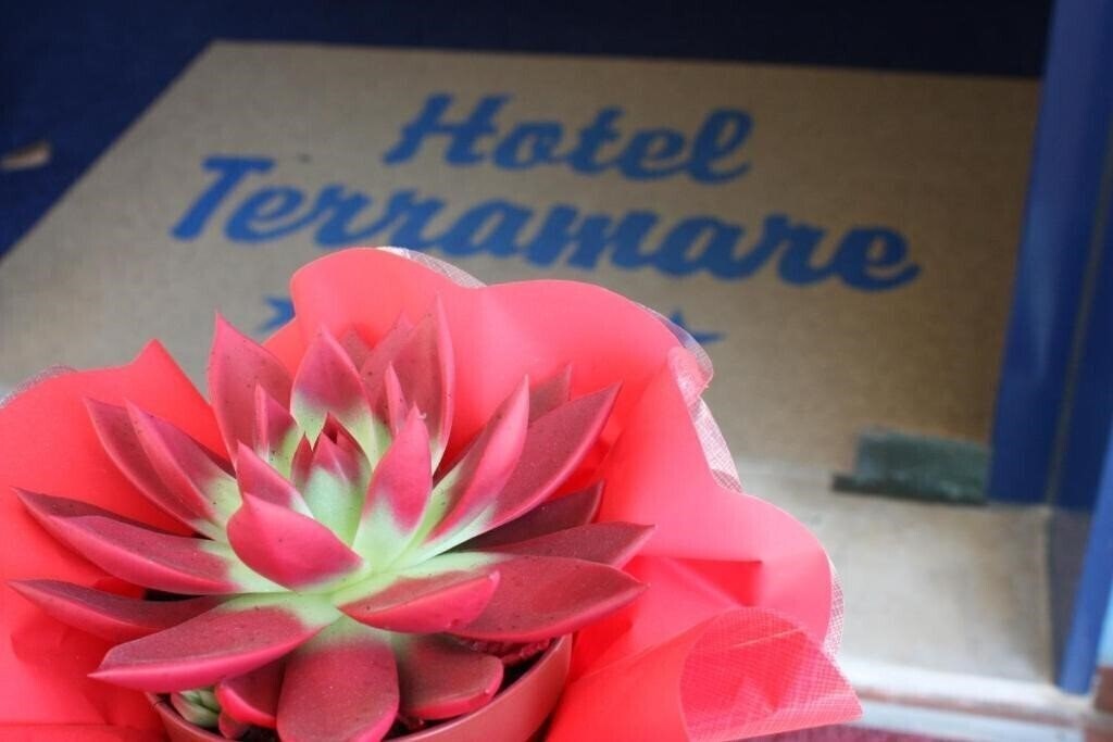 Отель Terramare 3*