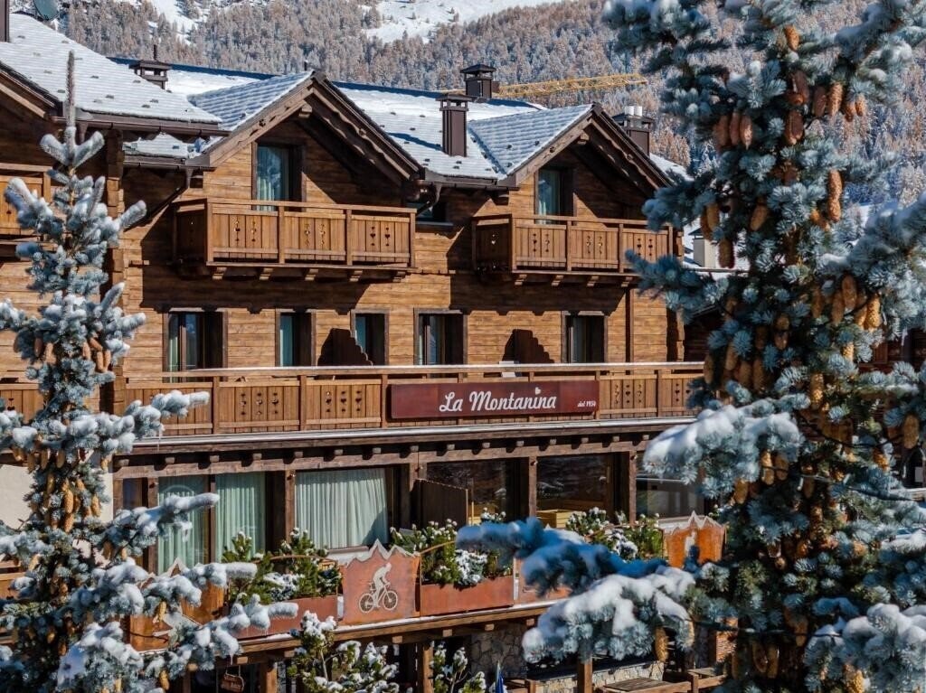 Готель Montanina 3*