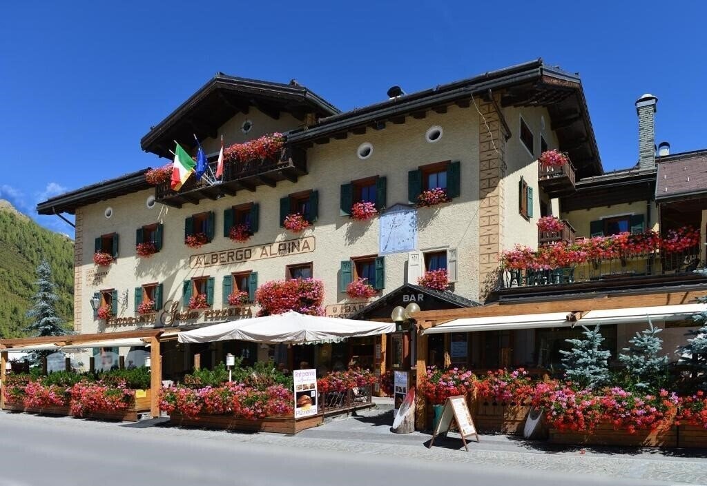 Отель Hotel Alpina 3*
