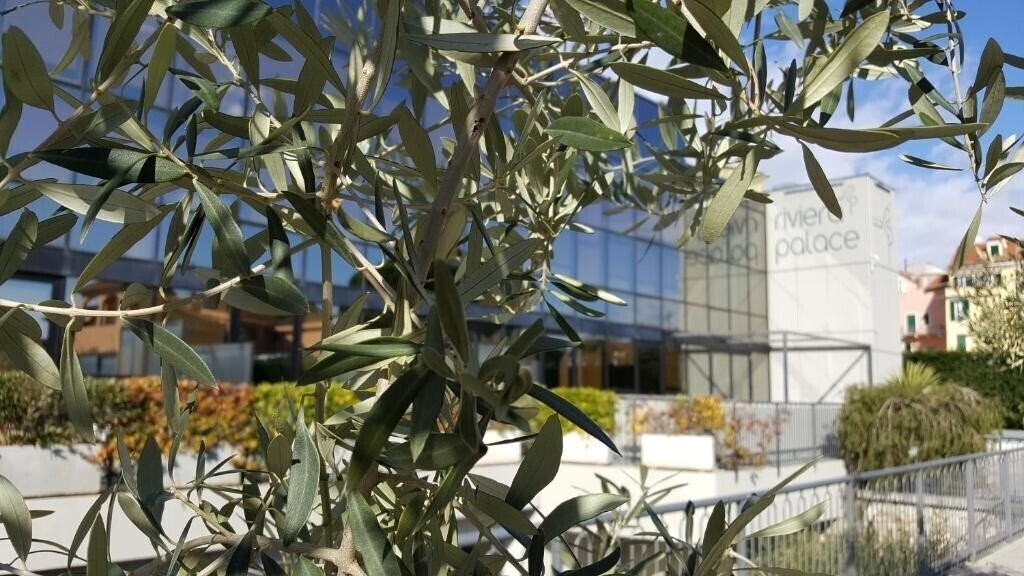 Отель Residence Riviera Palace 3*