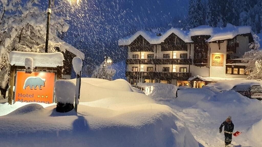 Отель Hotel Montana 3*