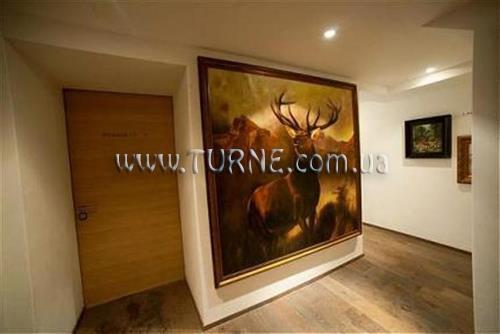 Зображення Cervo 3*