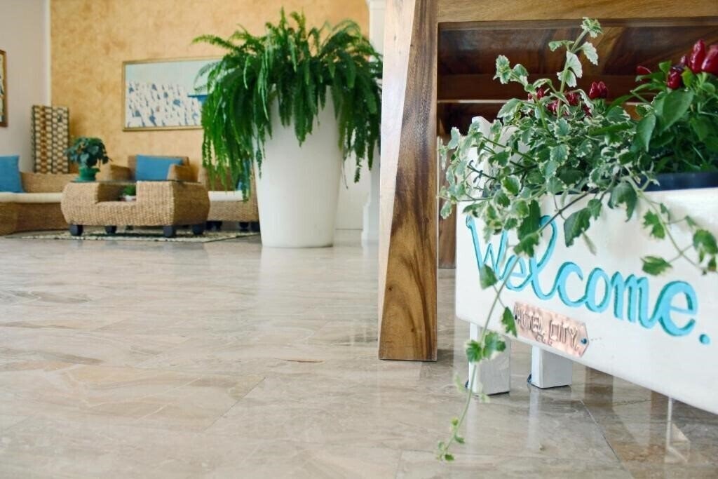 Фото Hotel  City MiMa 3*