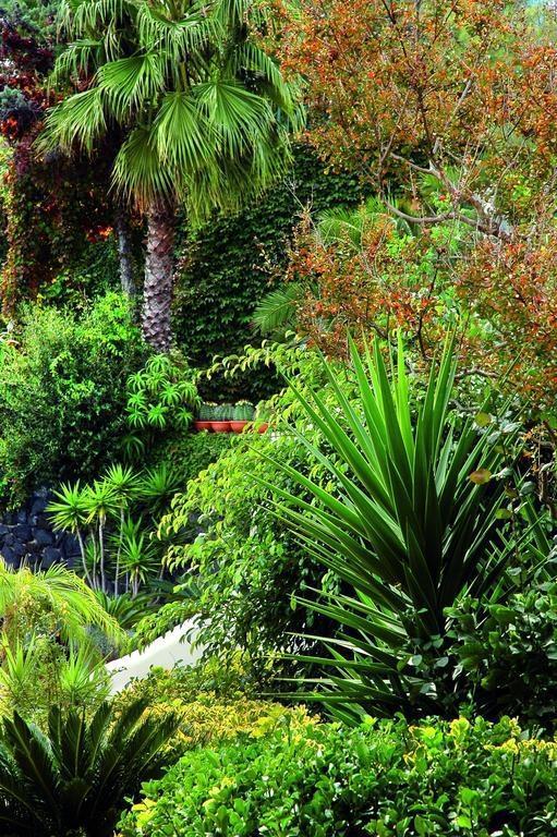 Готель Hotel Delfini Terme & Beauty 4*