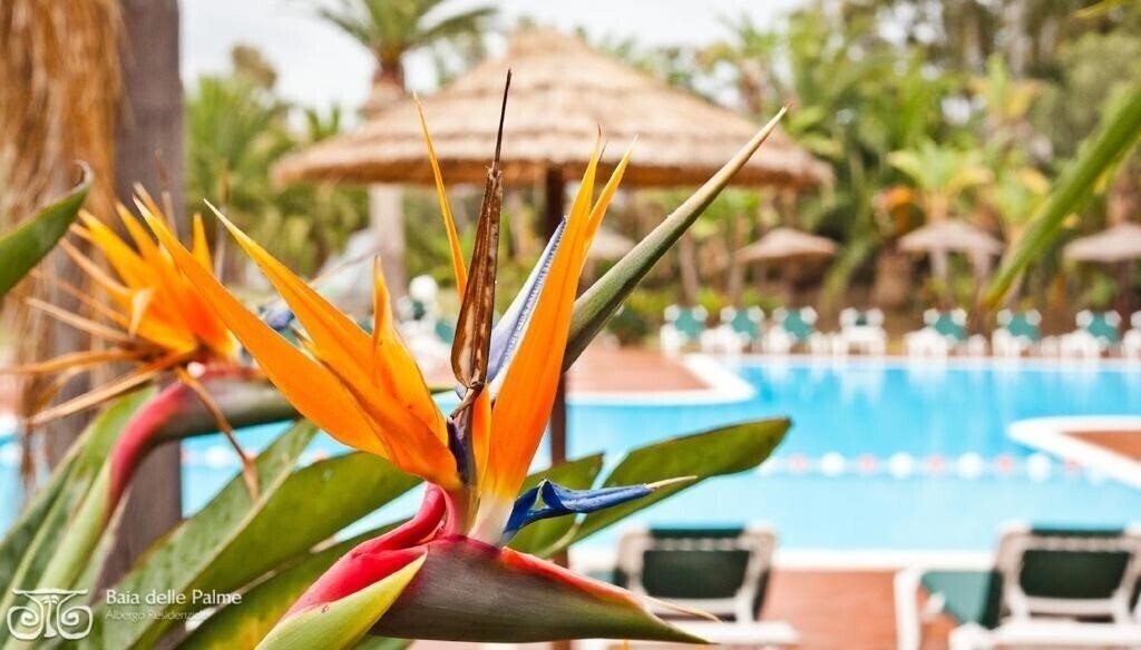 Готель Baia Delle Palme Beach 3*