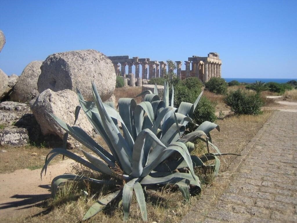 Фотография Alceste Hotel 3*