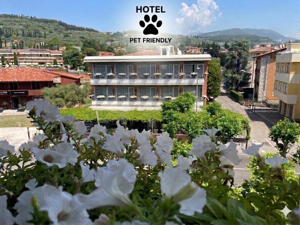 Готель Benaco 3*