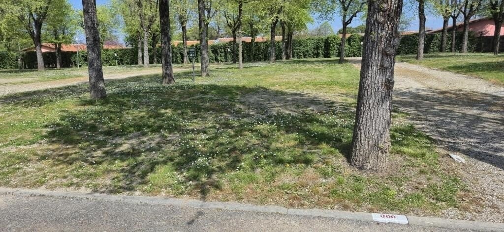 Изображение Camping San Francesco 4*