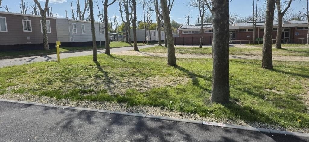 Картинка Camping San Francesco 4*