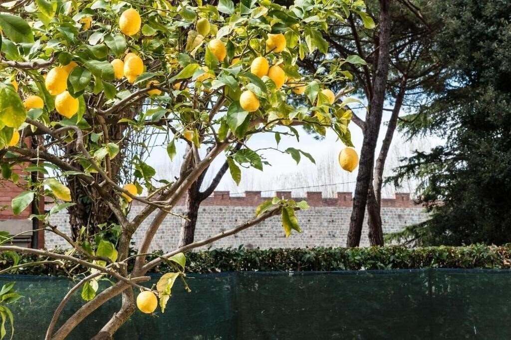 Отель Lemon House Yellow 3*