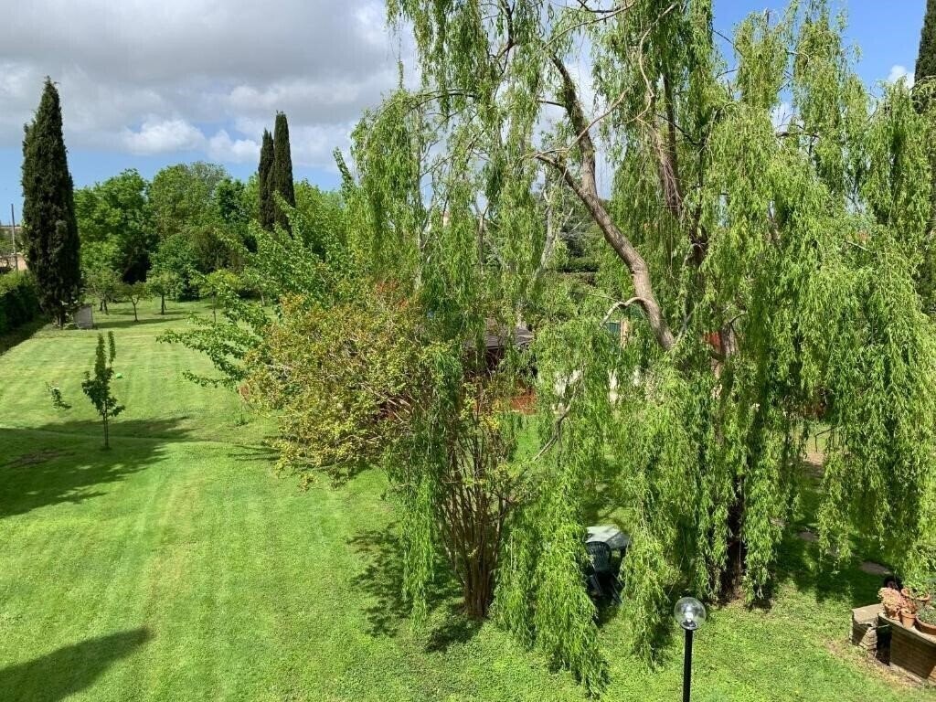 Изображение Villa Favilli 4*