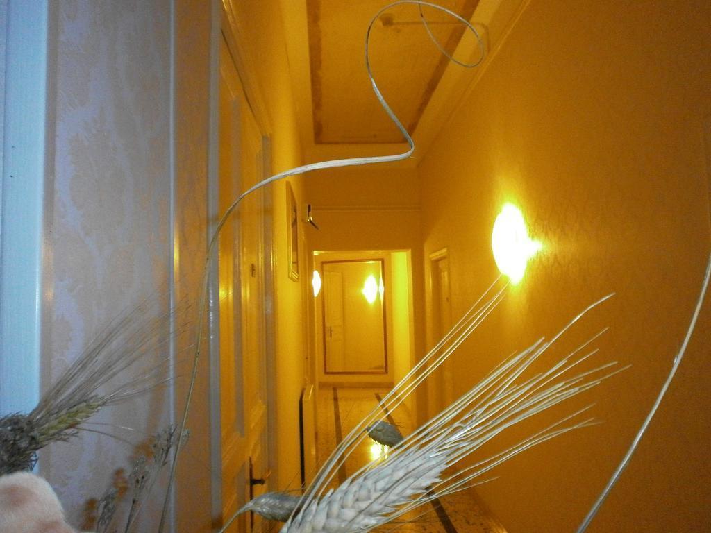 Фотографія Hotel Texas 2*