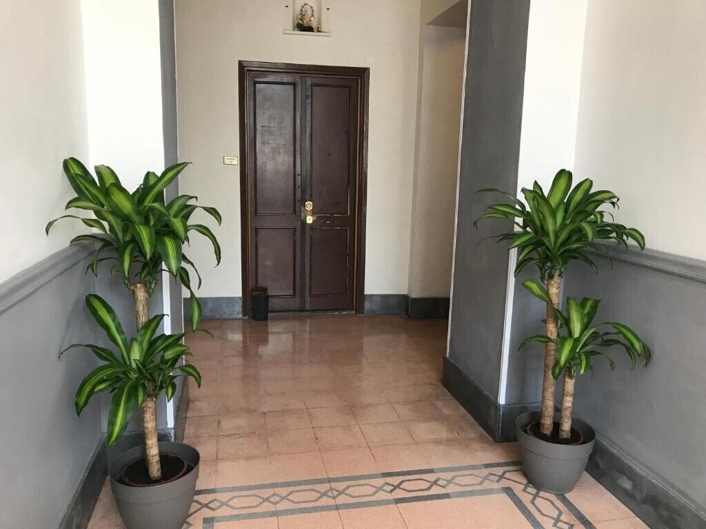 Отель Vatican City Holidays 2*