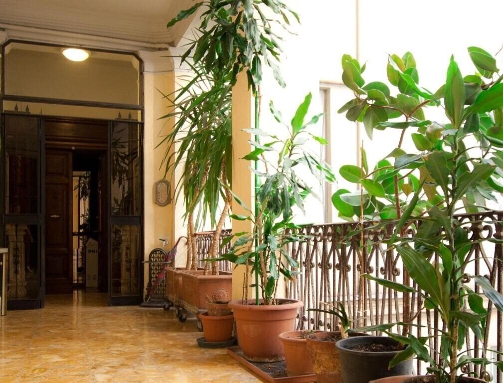 Картинка Guesthouse Borromeo Roma 3*