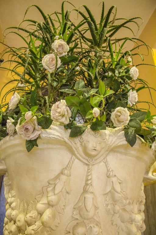 Зображення Giorgi 3*