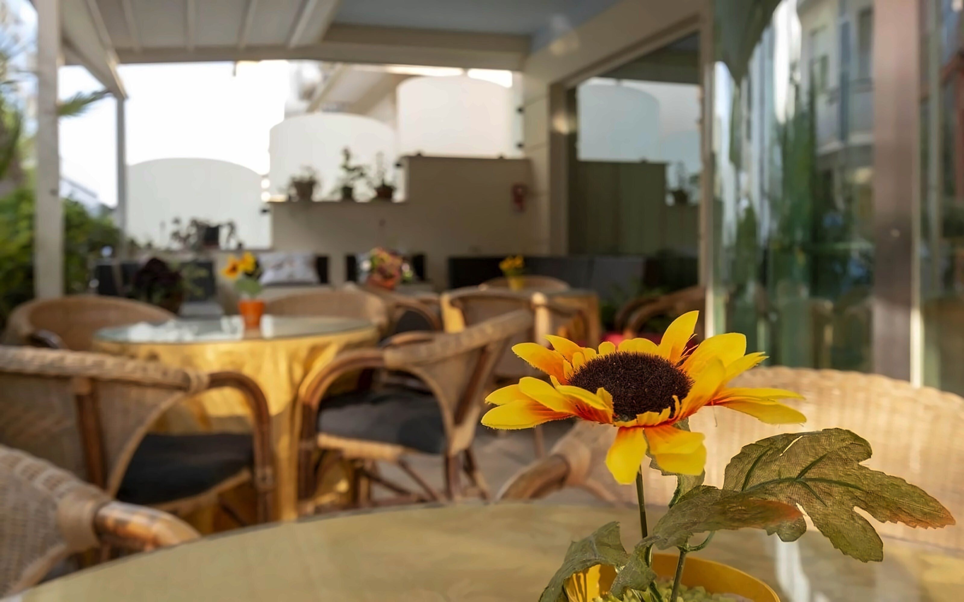 Зображення Kennedy 3*