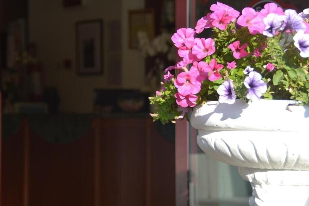 Фотографія Bel Sogno 3*